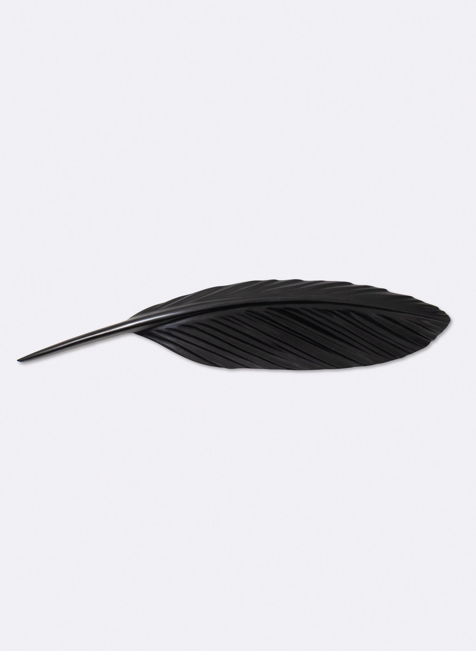 Tūī Feather Swamp Kauri 775mm