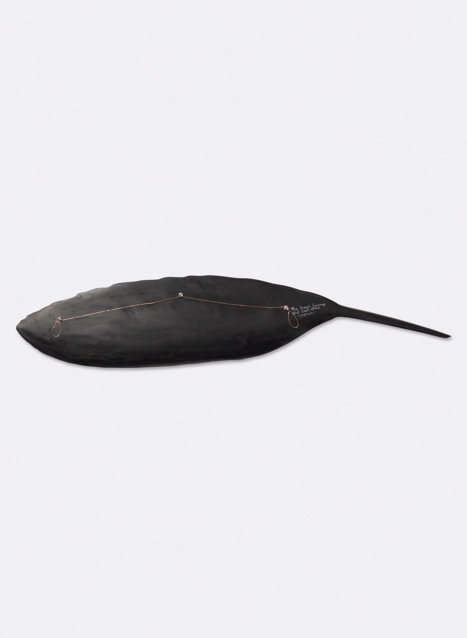 Tūī Feather Swamp Kauri 775mm