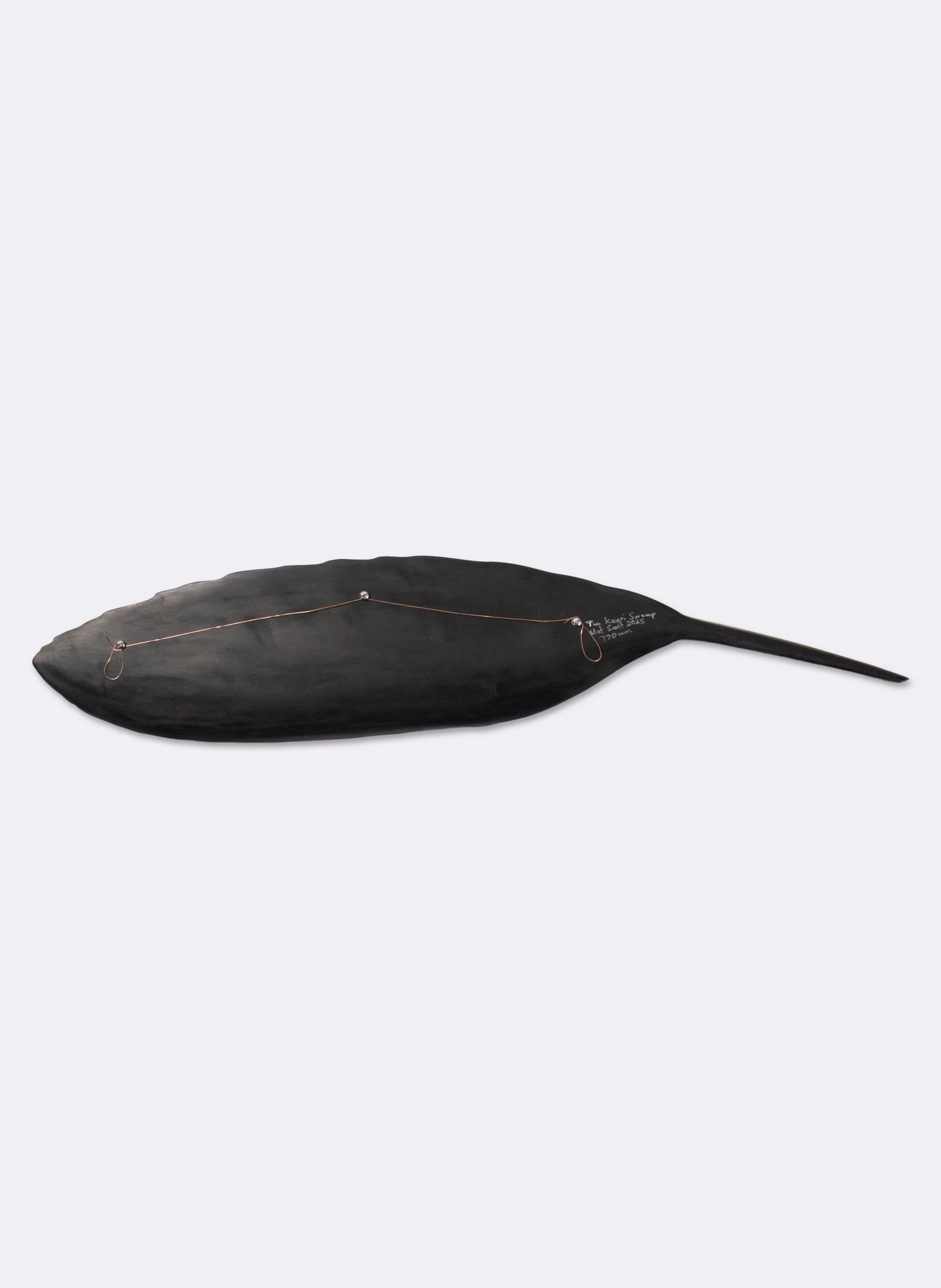 Tūī Feather Swamp Kauri 775mm