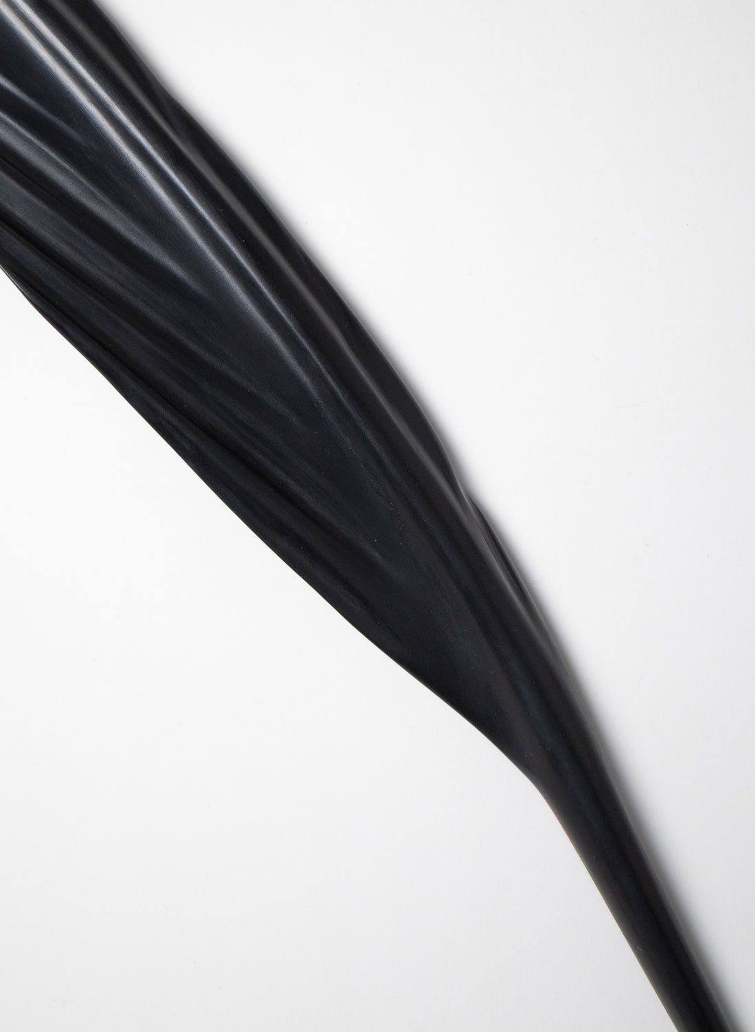 Tūī Feather Swamp Kauri 610mm