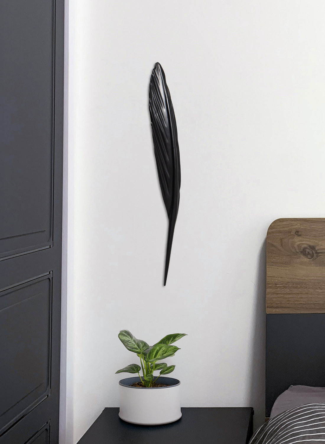 Tūī Feather Swamp Kauri 610mm