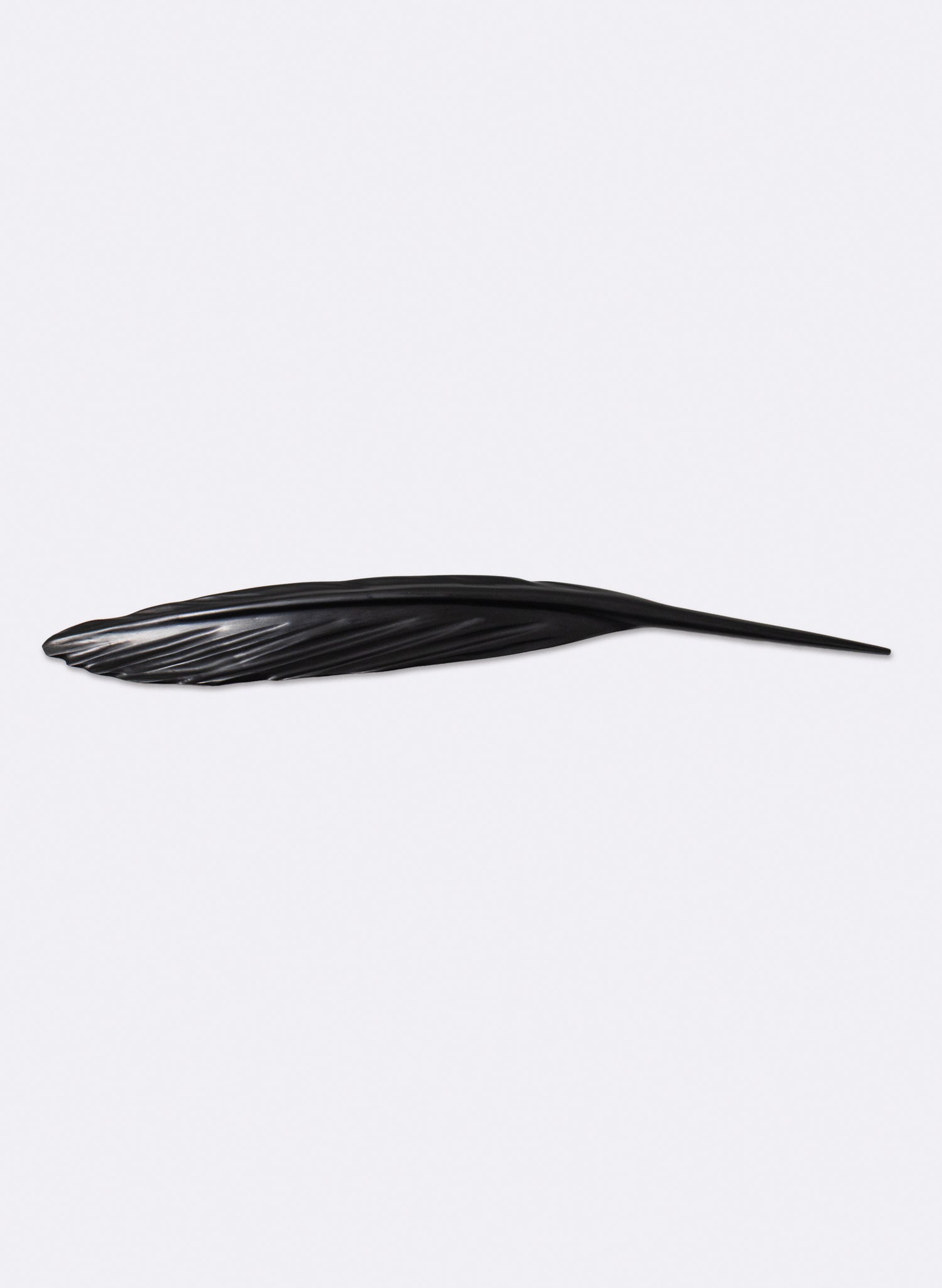 Tūī Feather Swamp Kauri 610mm