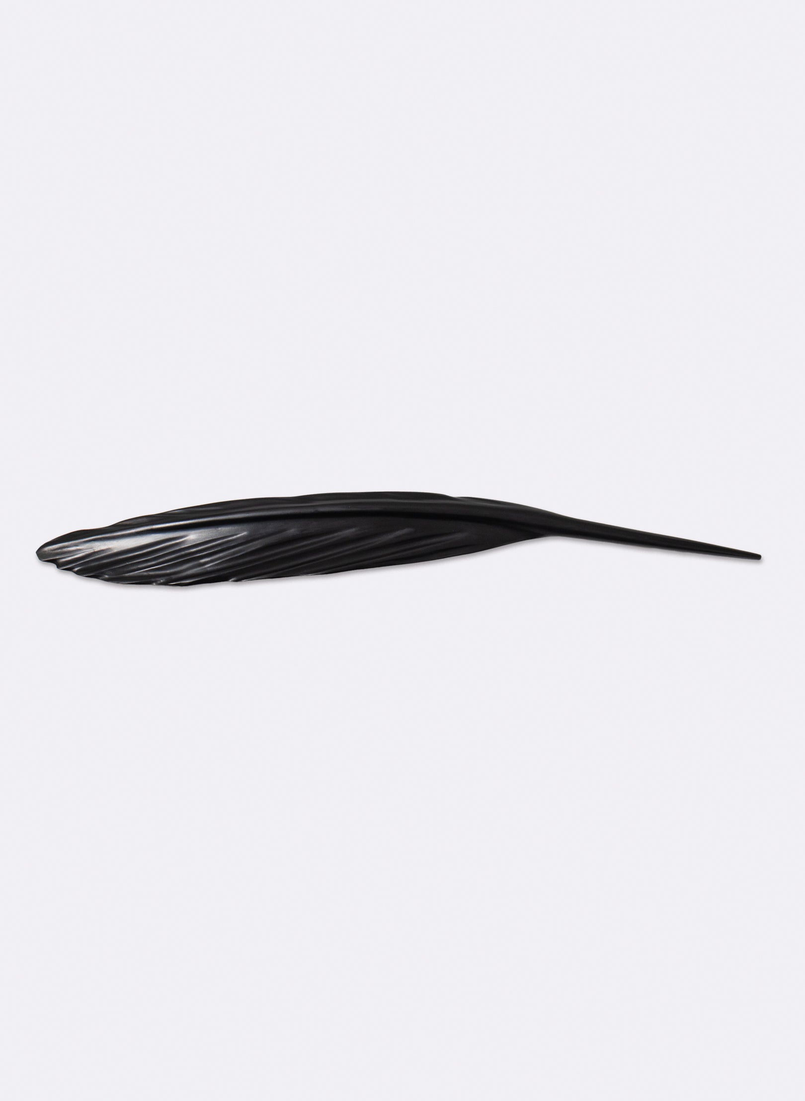 Tūī Feather Swamp Kauri 610mm