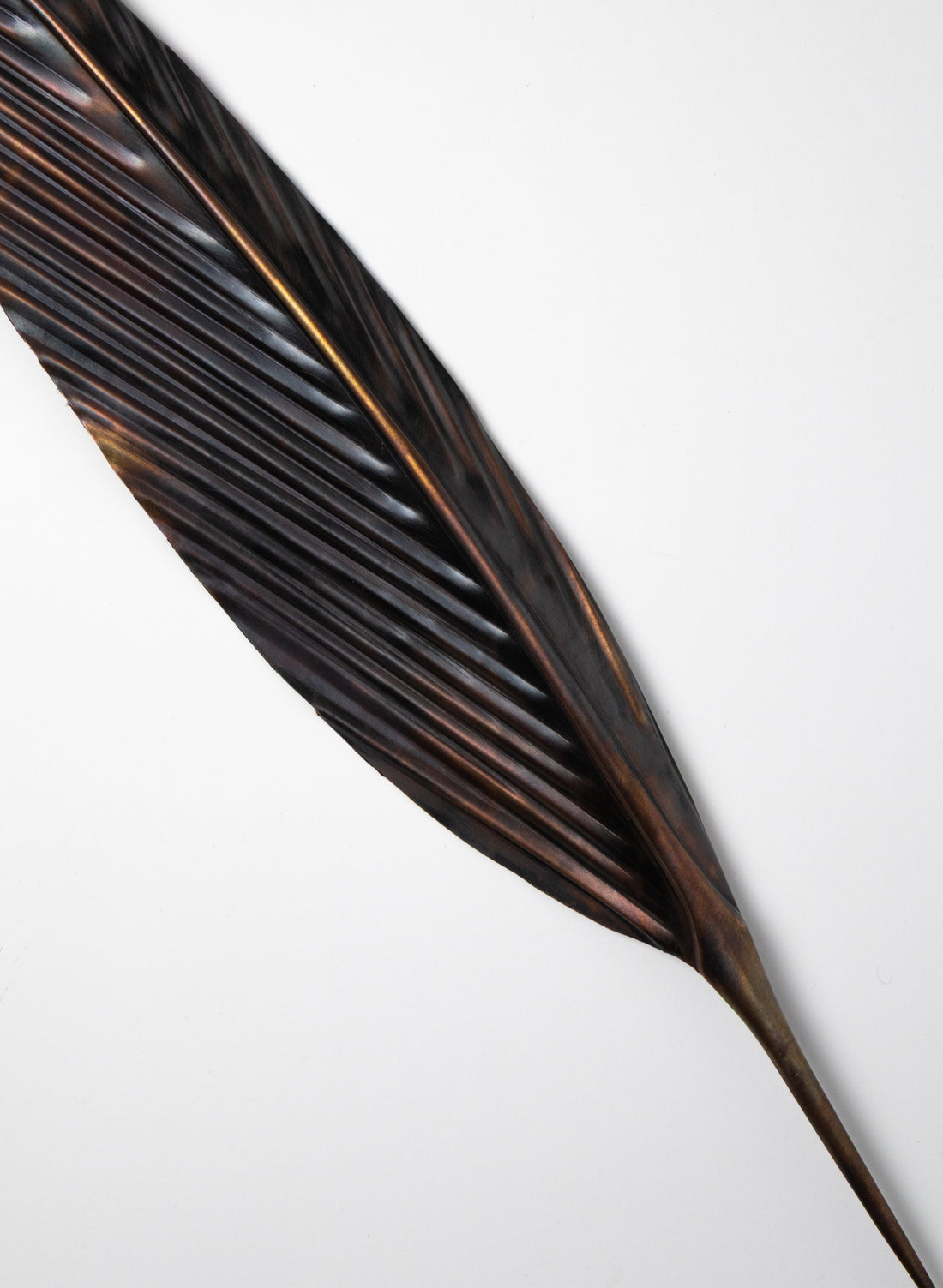 Kārearea Feather Copper 555mm