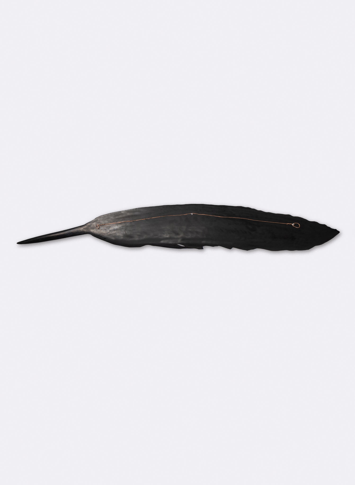 Tui Feather Swamp Kauri 1300mm