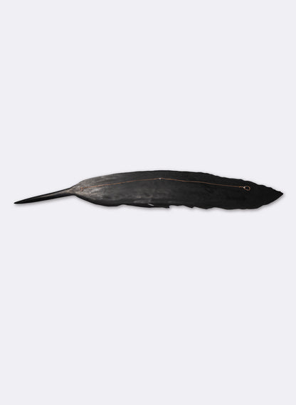 Tui Feather Swamp Kauri 1300mm