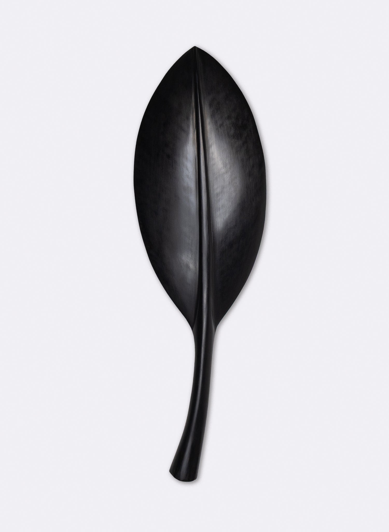 Pōhutukawa Leaf Kauri 660mm