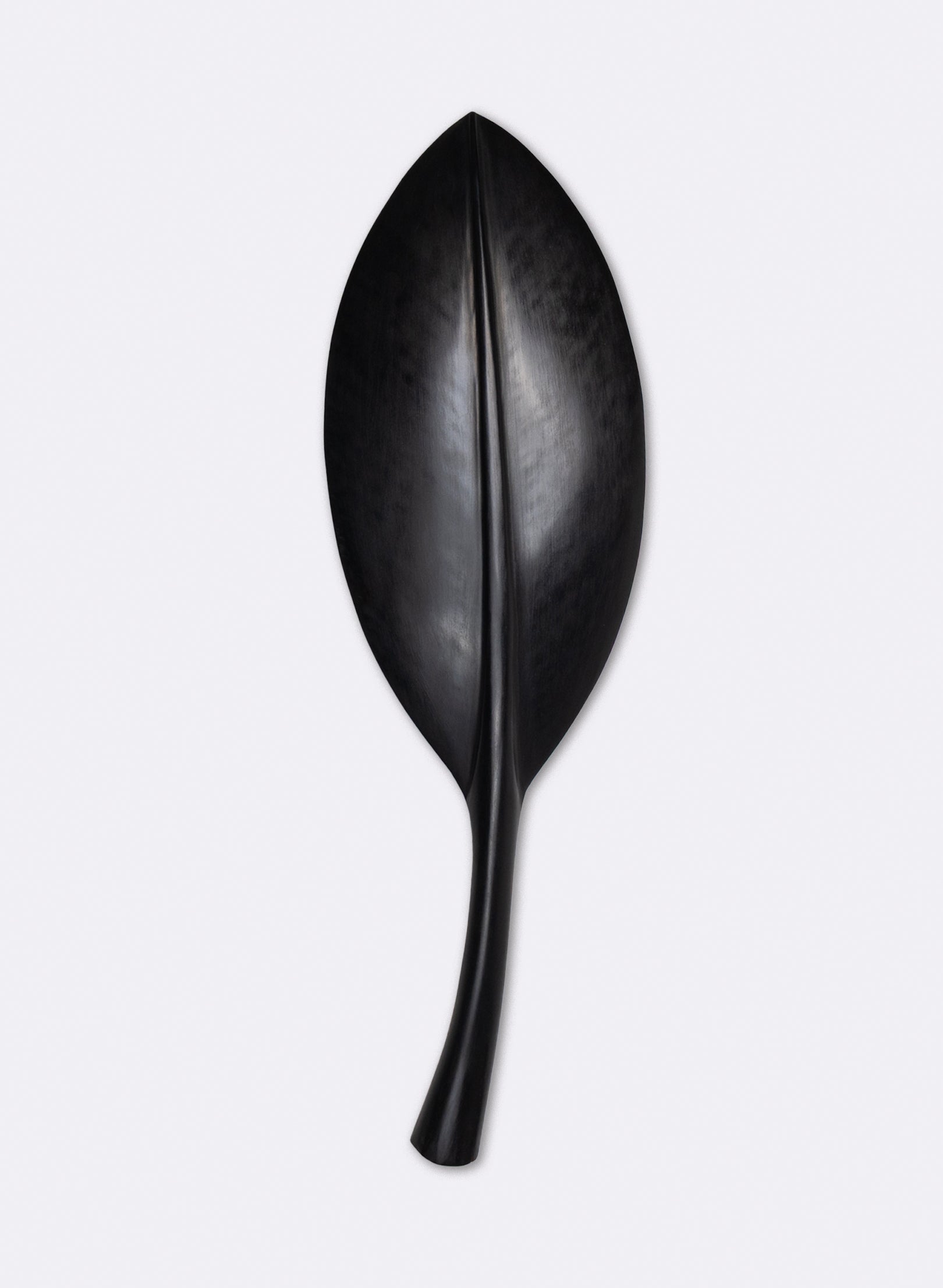 Pōhutukawa Leaf Kauri 660mm