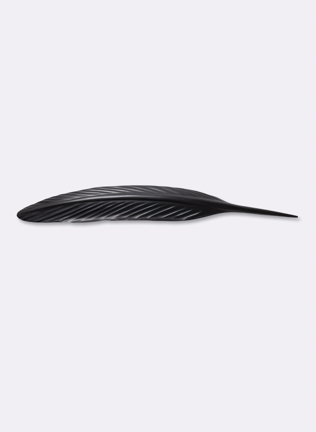 Tūī Feather Swamp Kauri 720mm