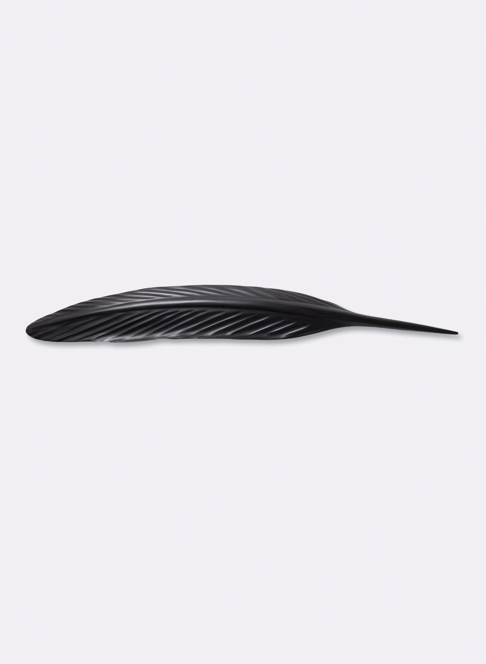 Tūī Feather Swamp Kauri 720mm