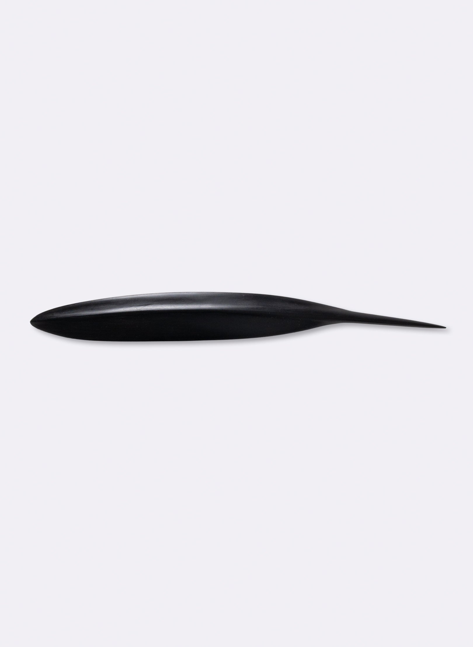 Tūī Feather Swamp Kauri 440mm