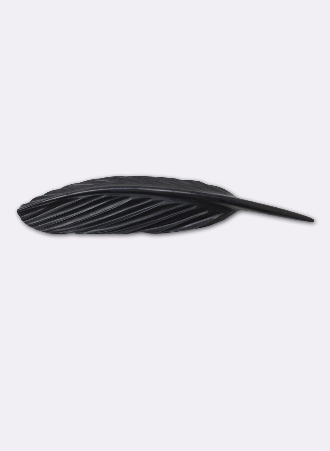Tūī Feather Swamp Kauri 445mm