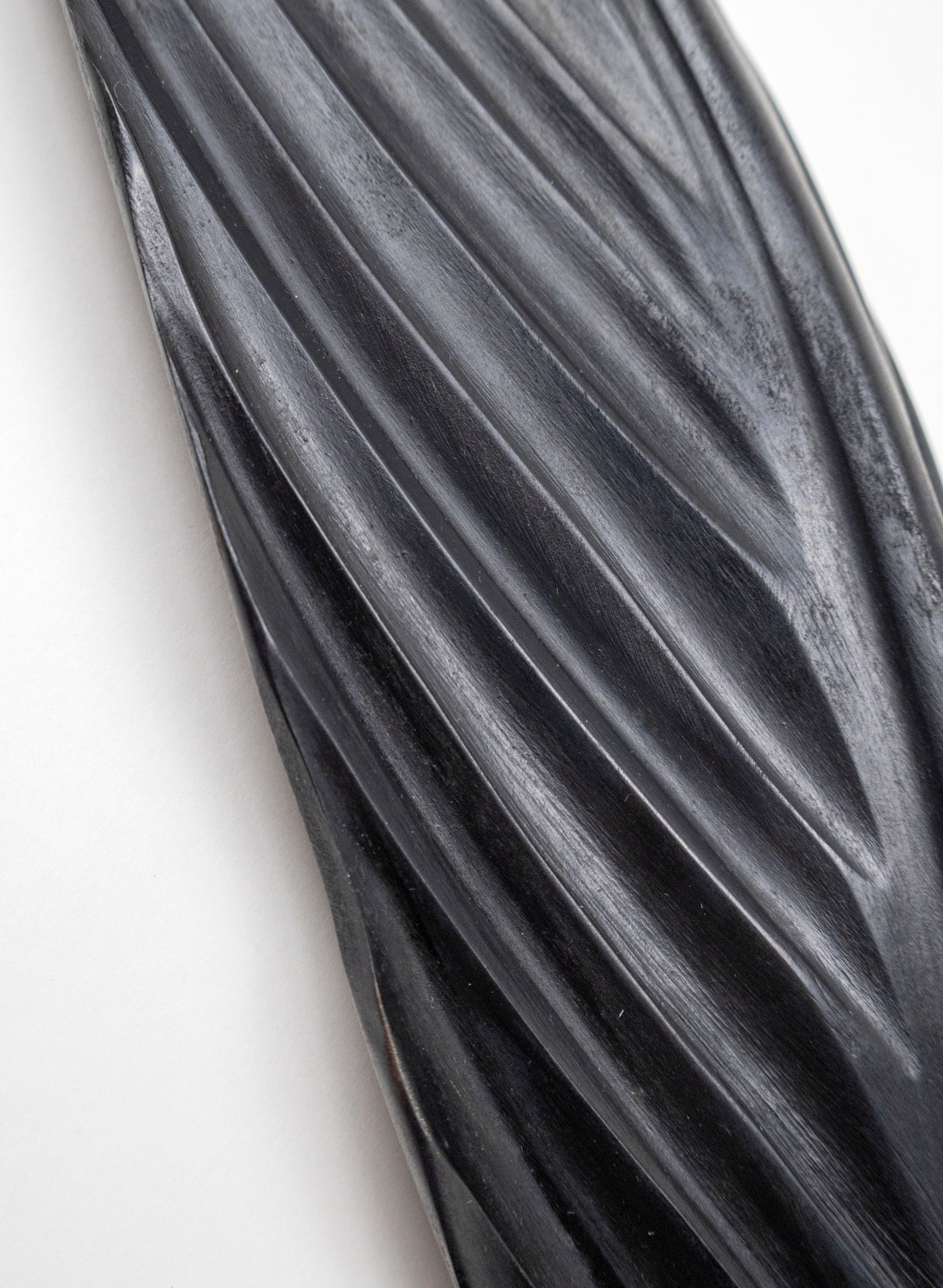 Tūī Feather Swamp Kauri 445mm