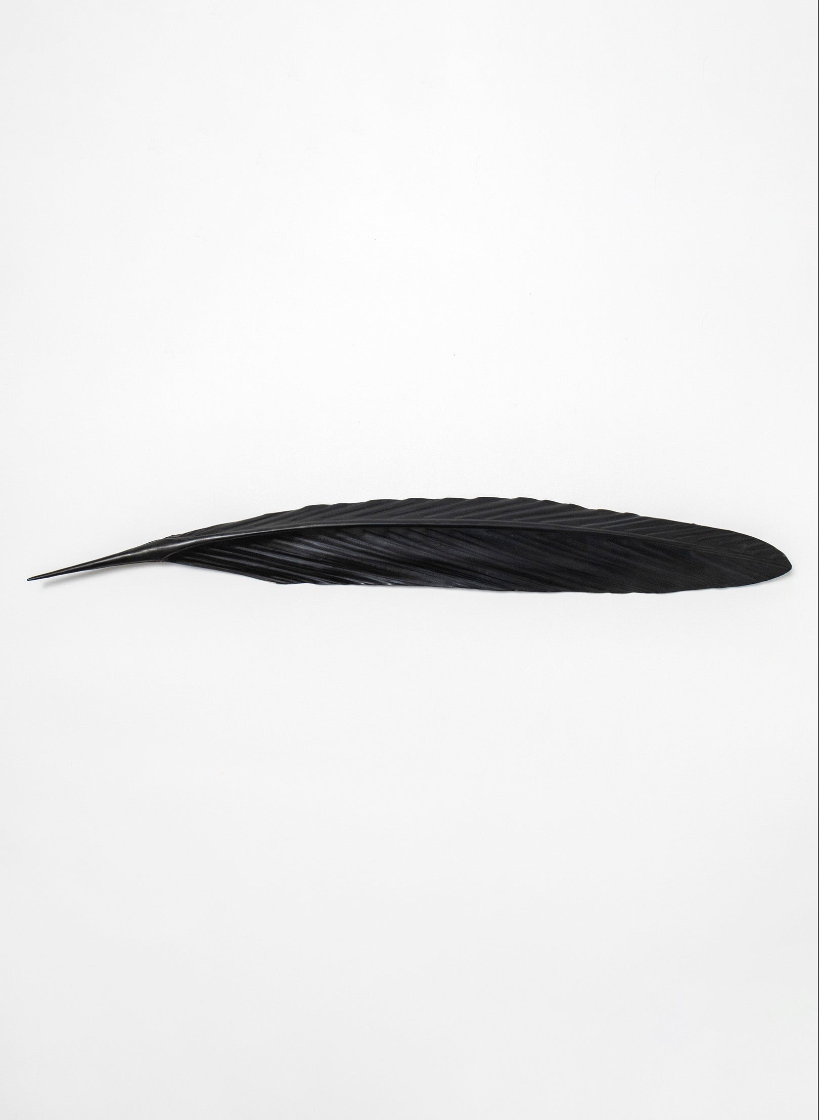 King Shag Copper Feather 660mm