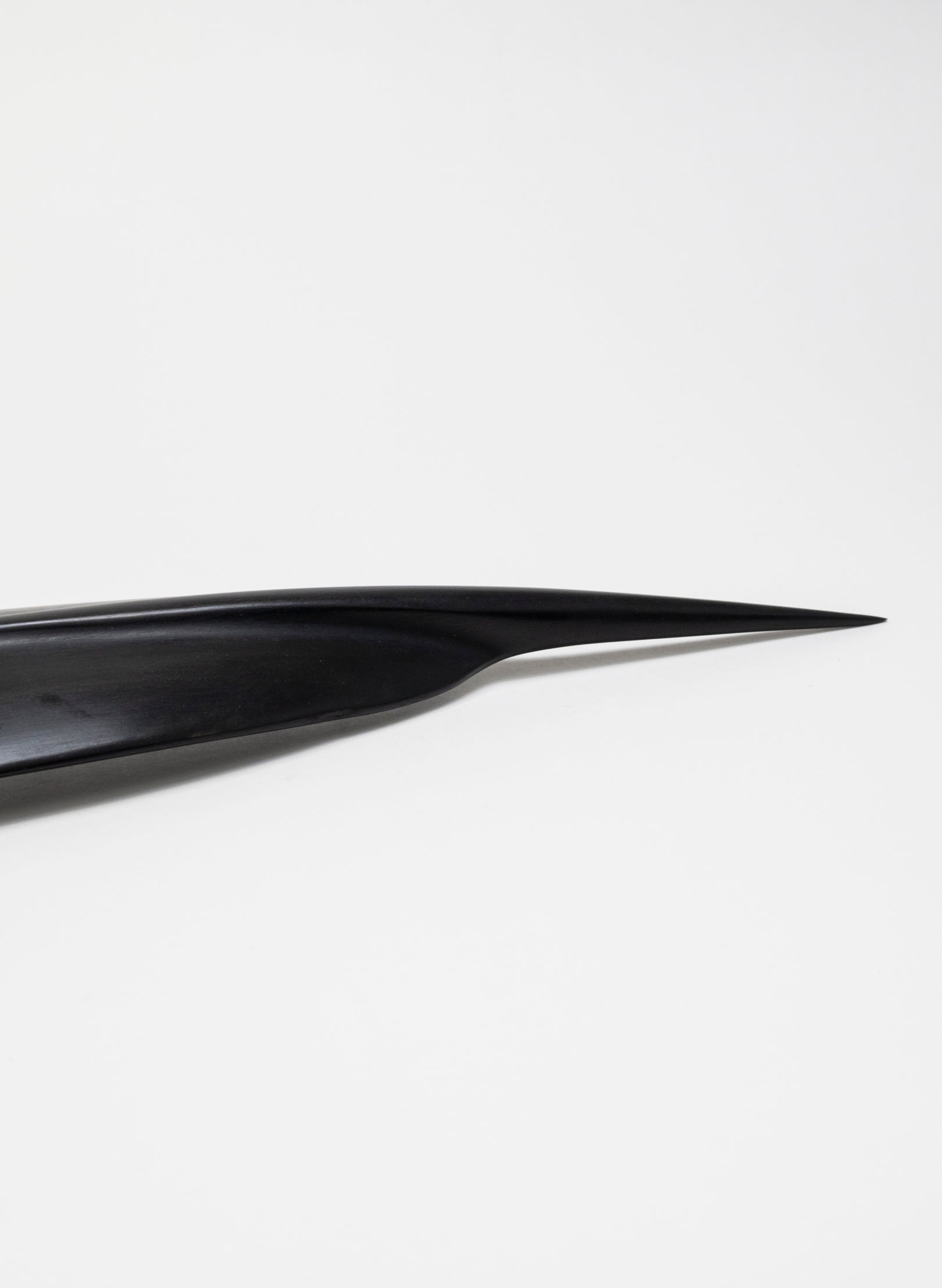 Tūī Feather Swamp Kauri 460mm