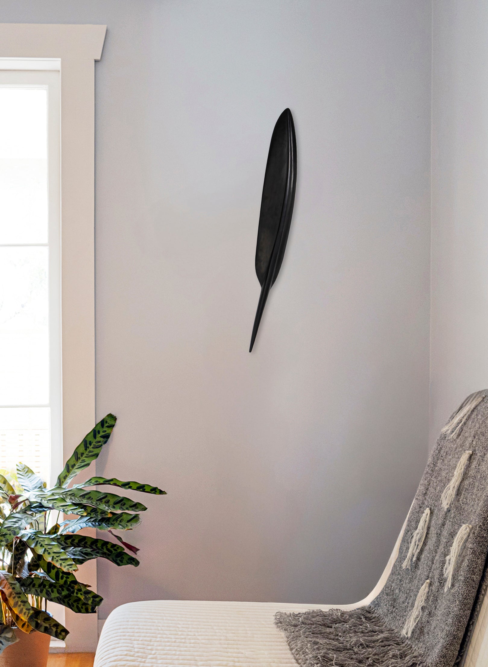 Tūī Feather Swamp Kauri 715mm