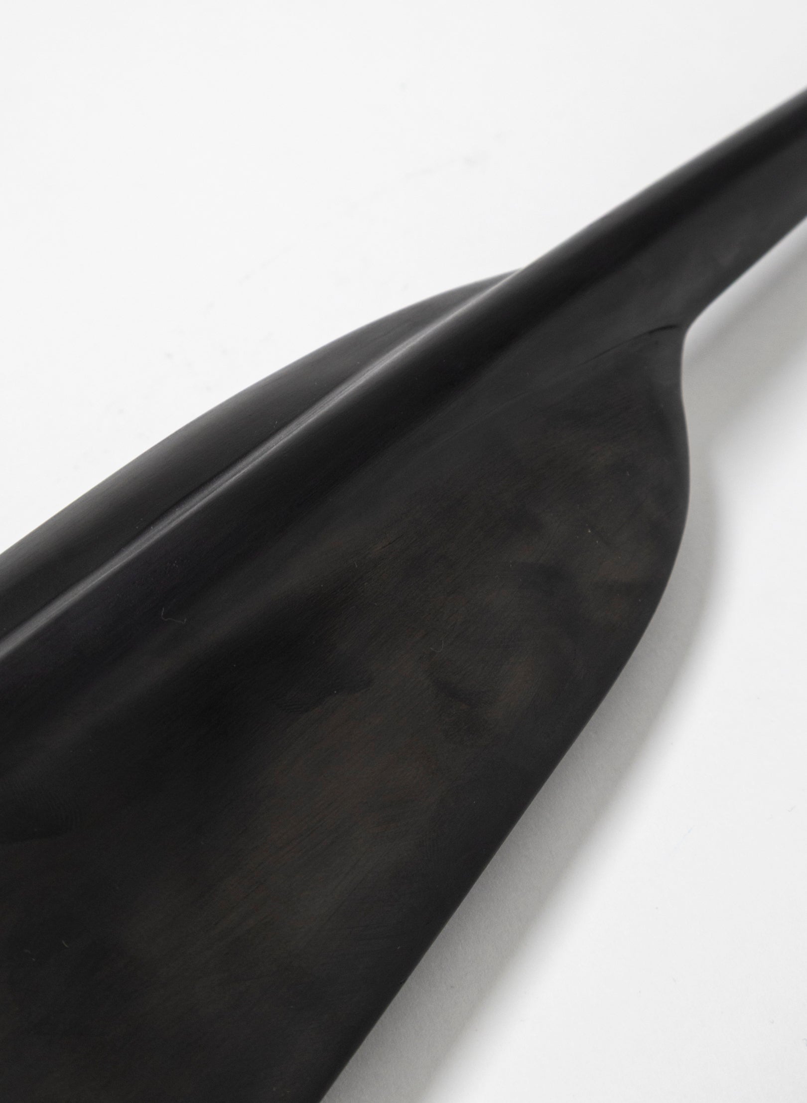 Tūī Feather Swamp Kauri 715mm