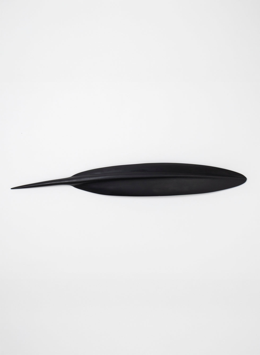 Tūī Feather Swamp Kauri 583mm