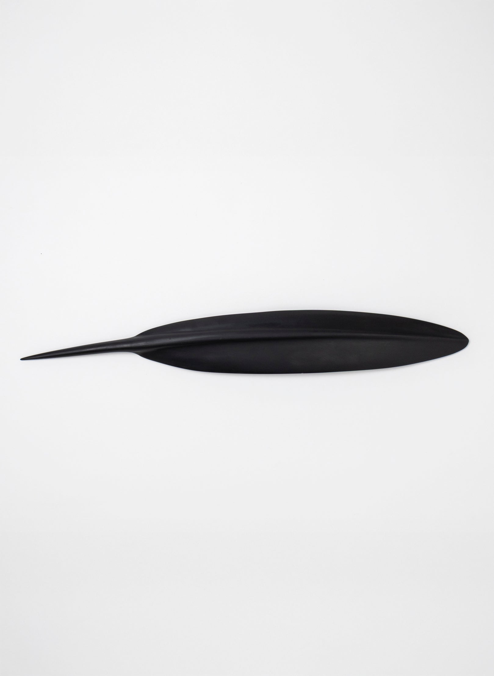 Tūī Feather Swamp Kauri 583mm