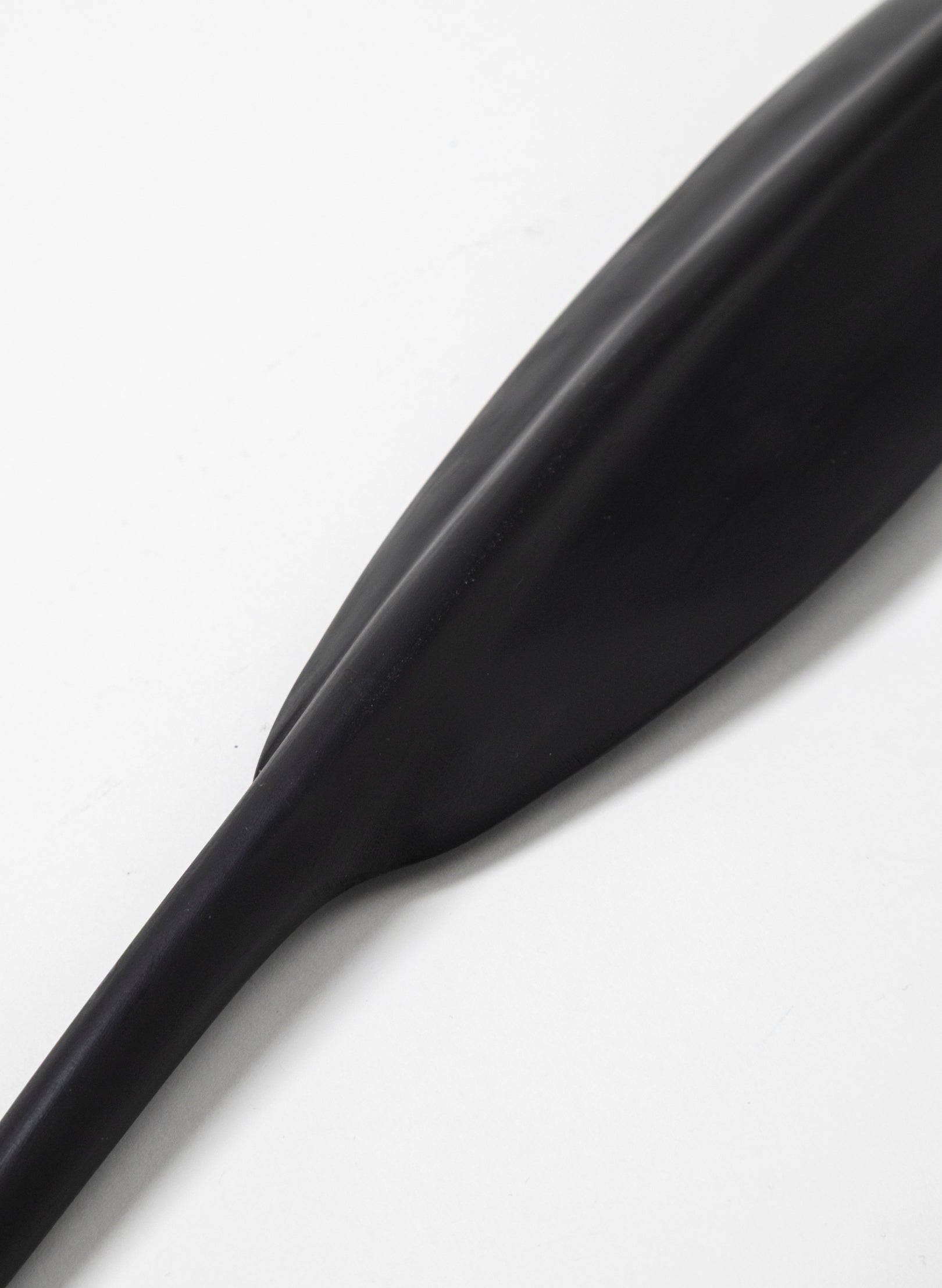 Tūī Feather Swamp Kauri 583mm