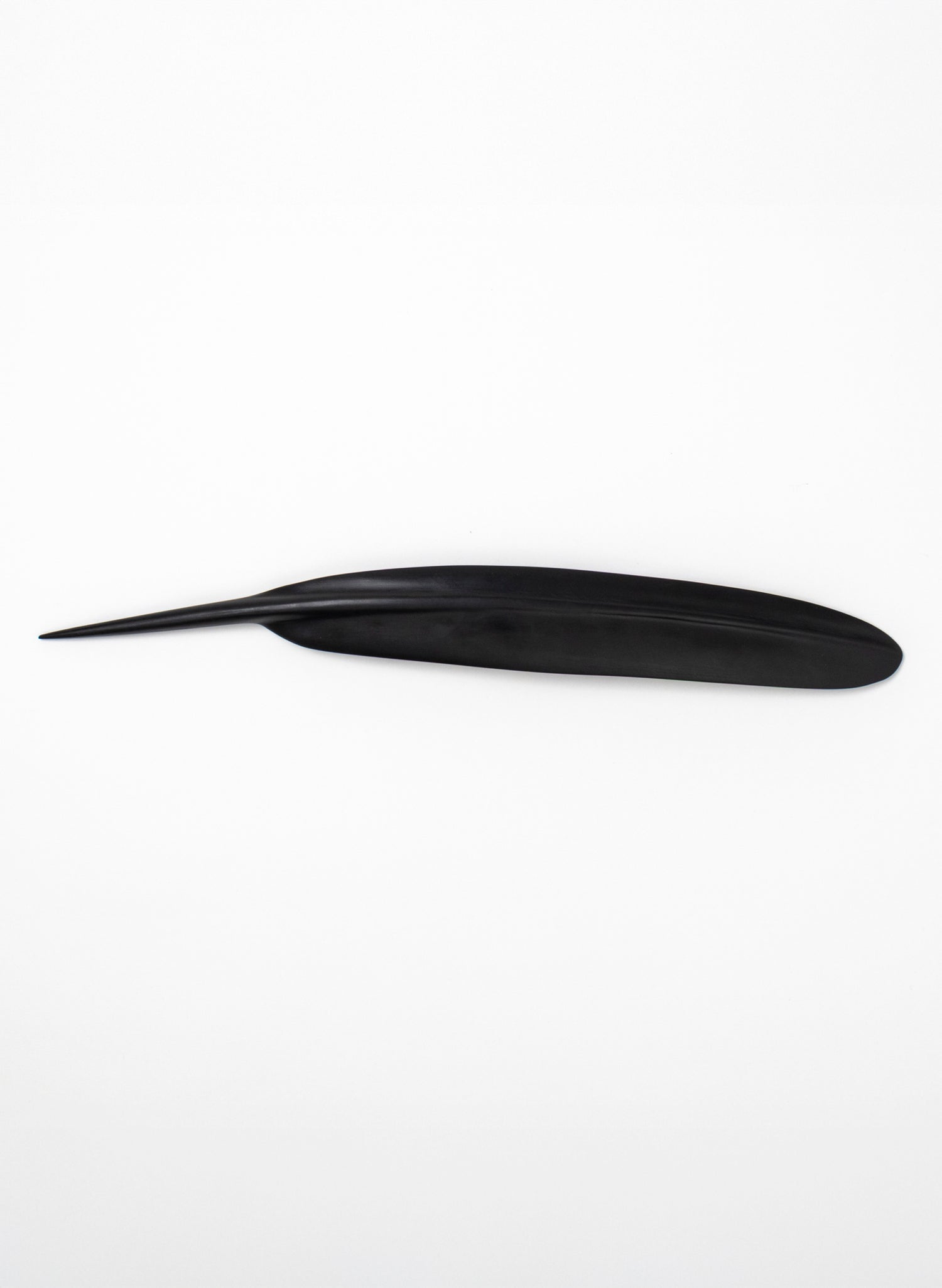 Tūī Feather Swamp Kauri 538mm