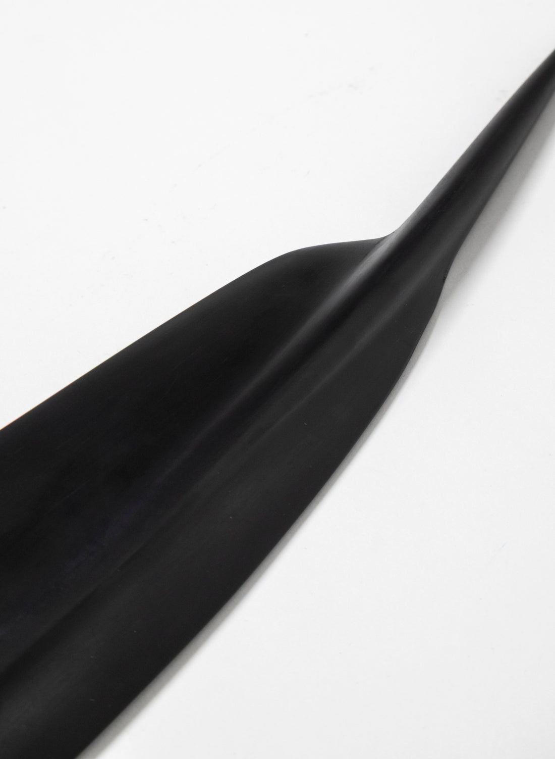 Tūī Feather Swamp Kauri 538mm