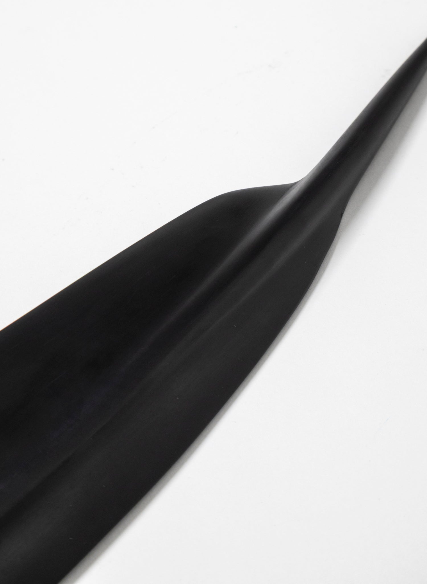 Tūī Feather Swamp Kauri 538mm