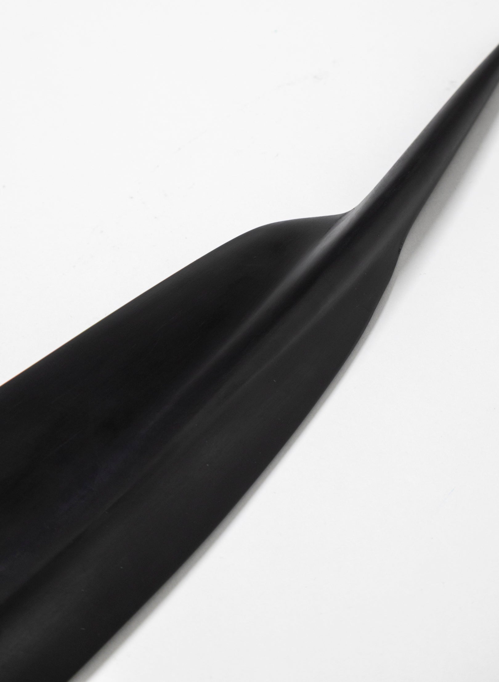 Tūī Feather Swamp Kauri 538mm