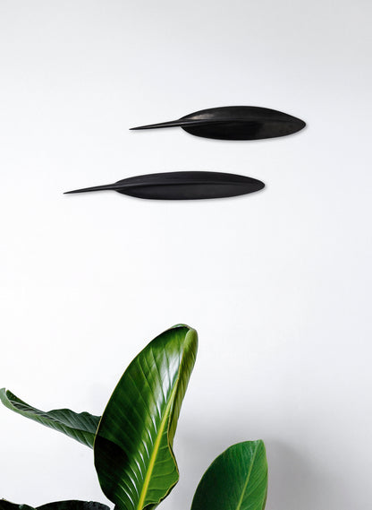 Tūī Feather Swamp Kauri 475mm