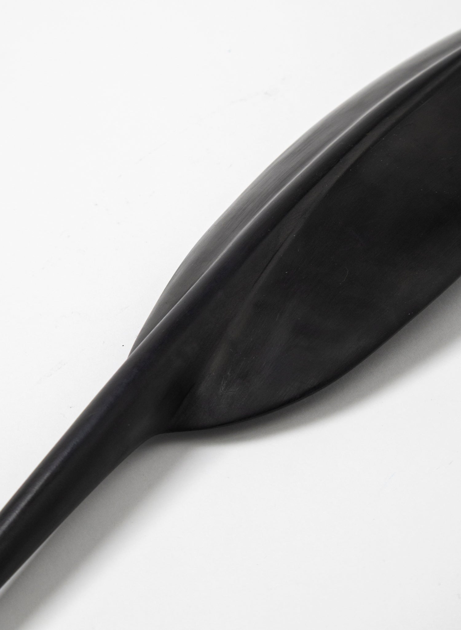 Tūī Feather Swamp Kauri 475mm