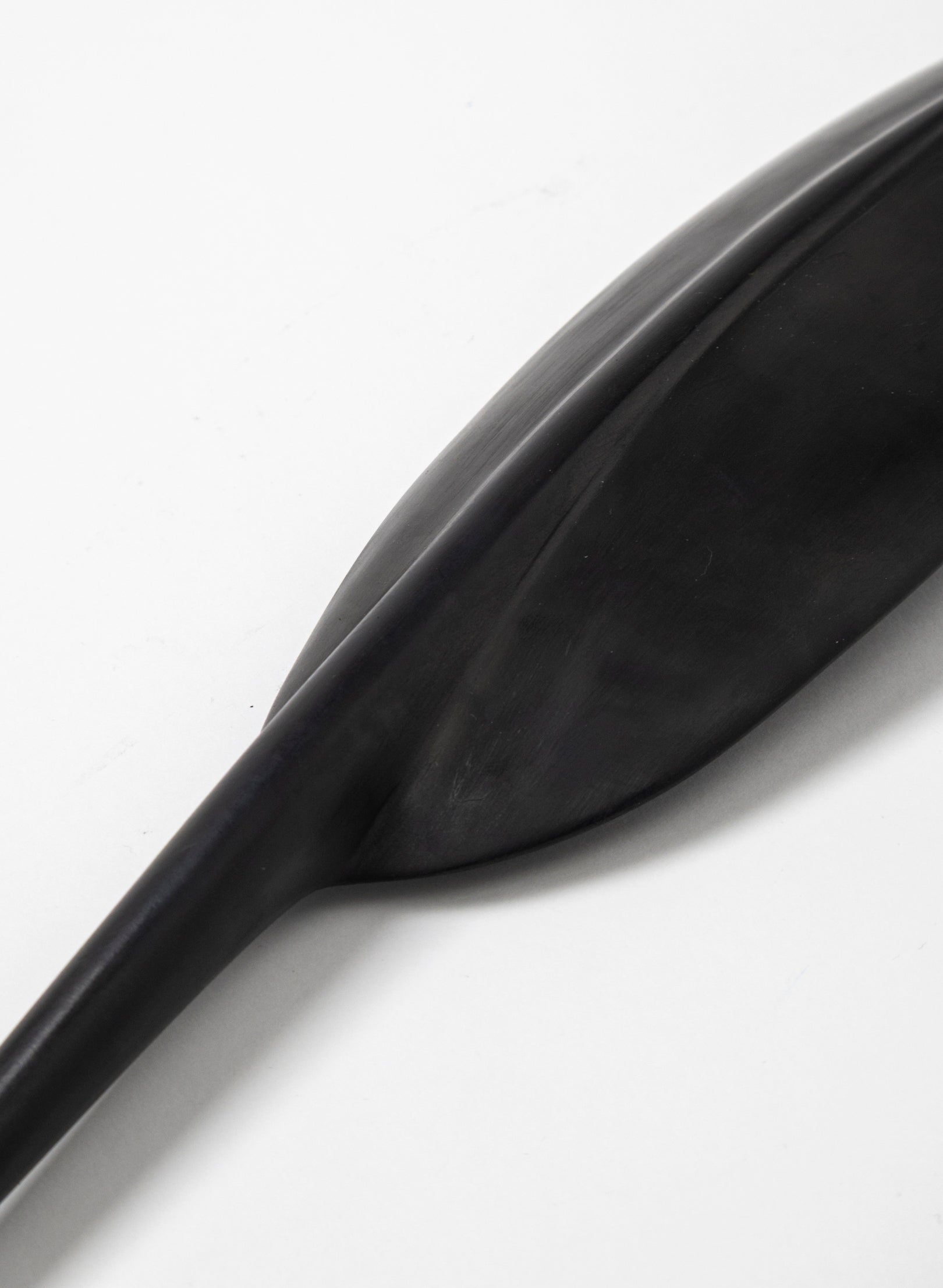 Tūī Feather Swamp Kauri 475mm