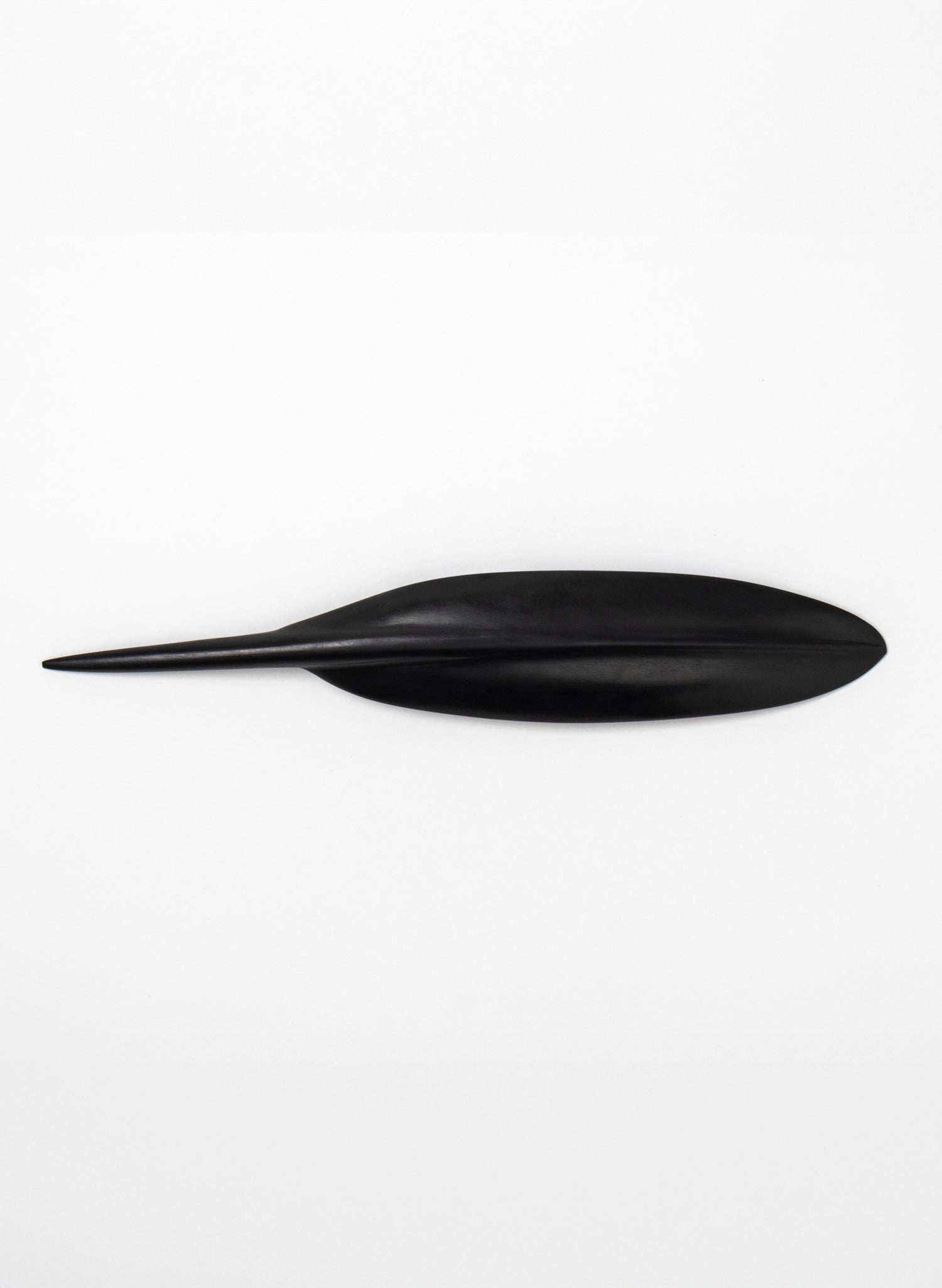 Tūī Feather Swamp Kauri 470mm