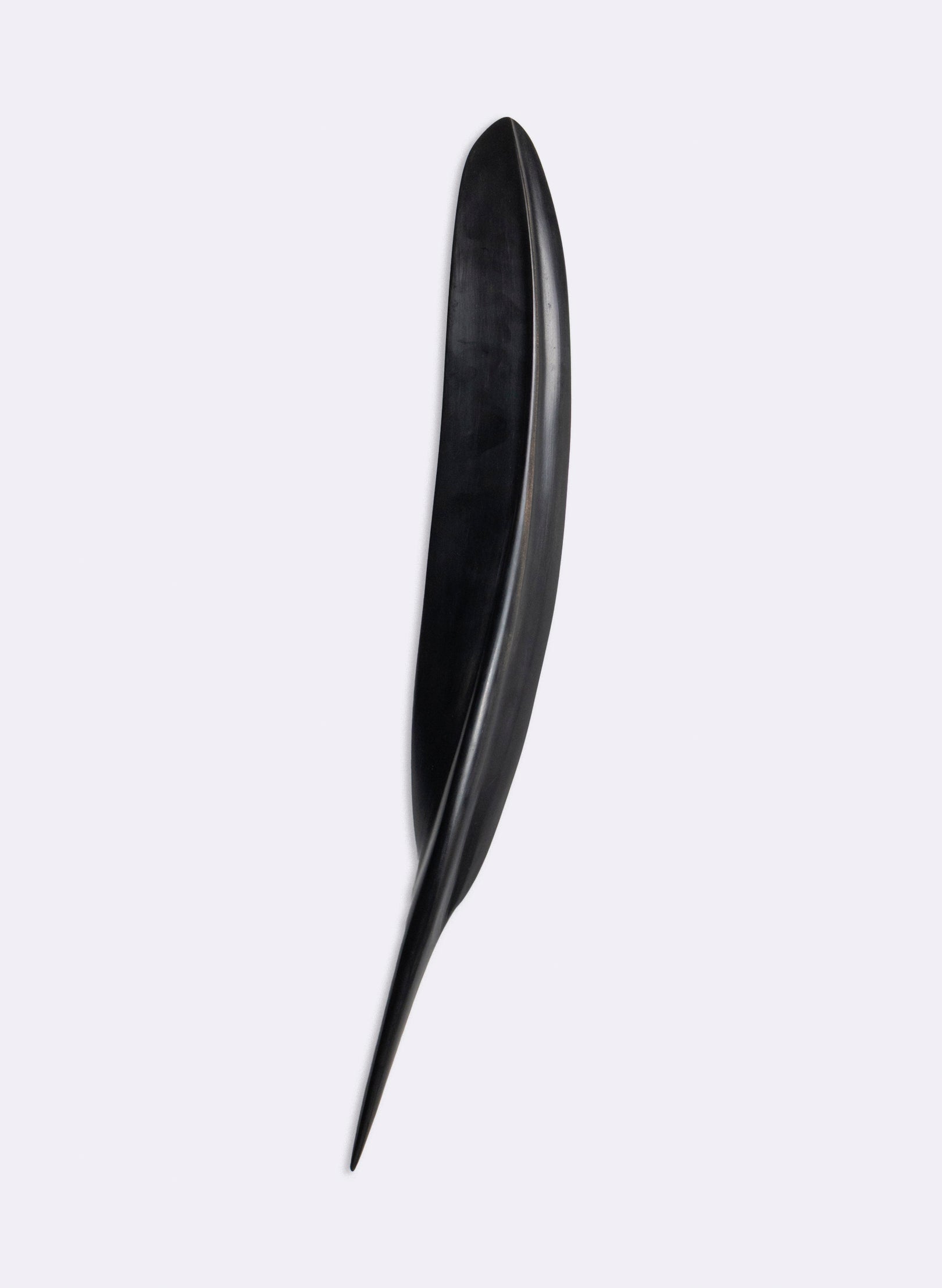 Tūī Swamp Kauri Feather 530mm