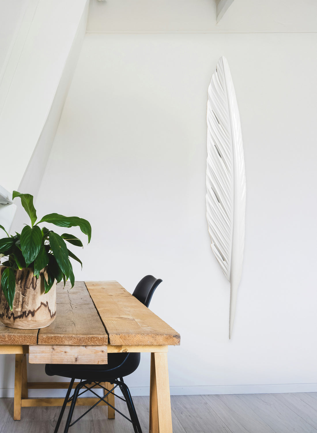 Kōtuku Swamp Kauri Feather 1600mm