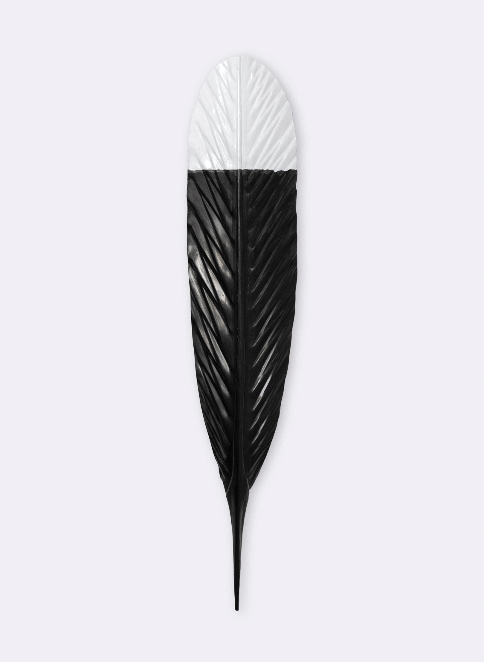 Huia Feather 585mm
