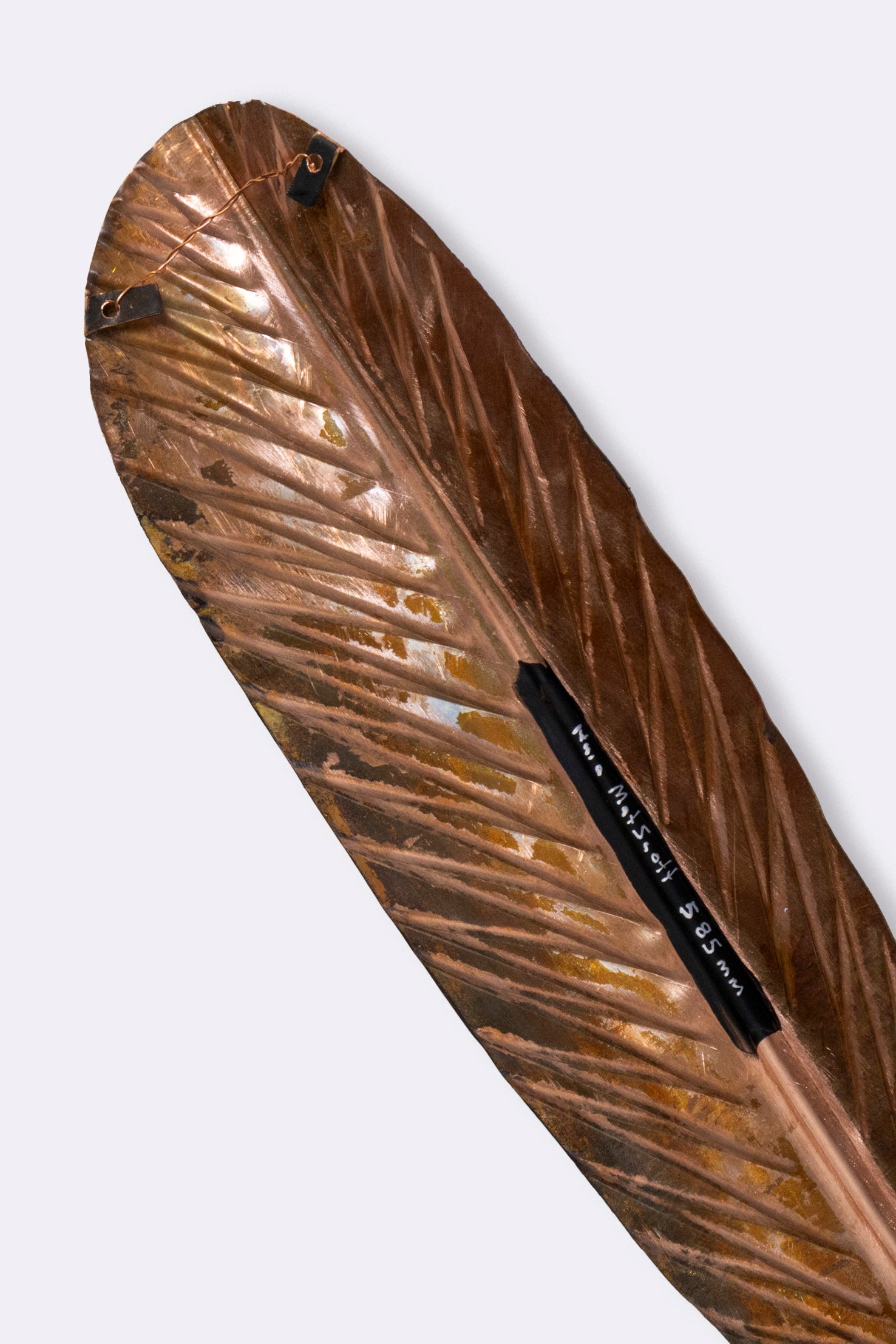 Huia Feather 585mm