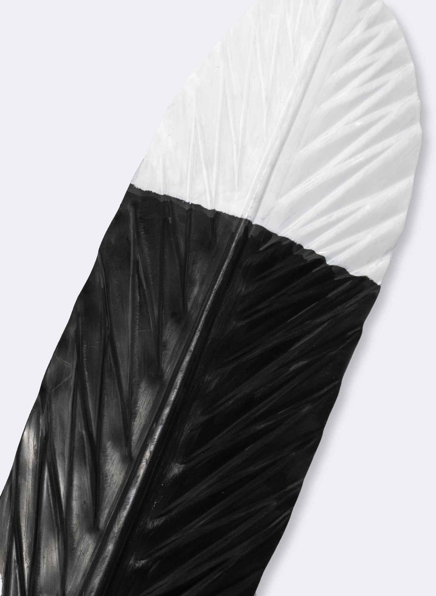 Huia Feather 585mm