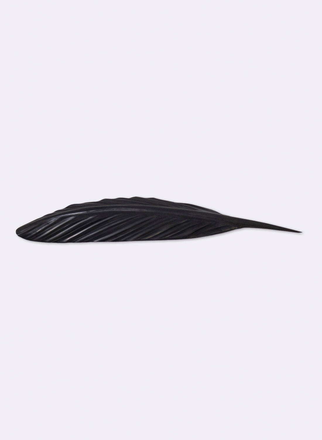 Tūī Swamp Kauri Feather 630mm