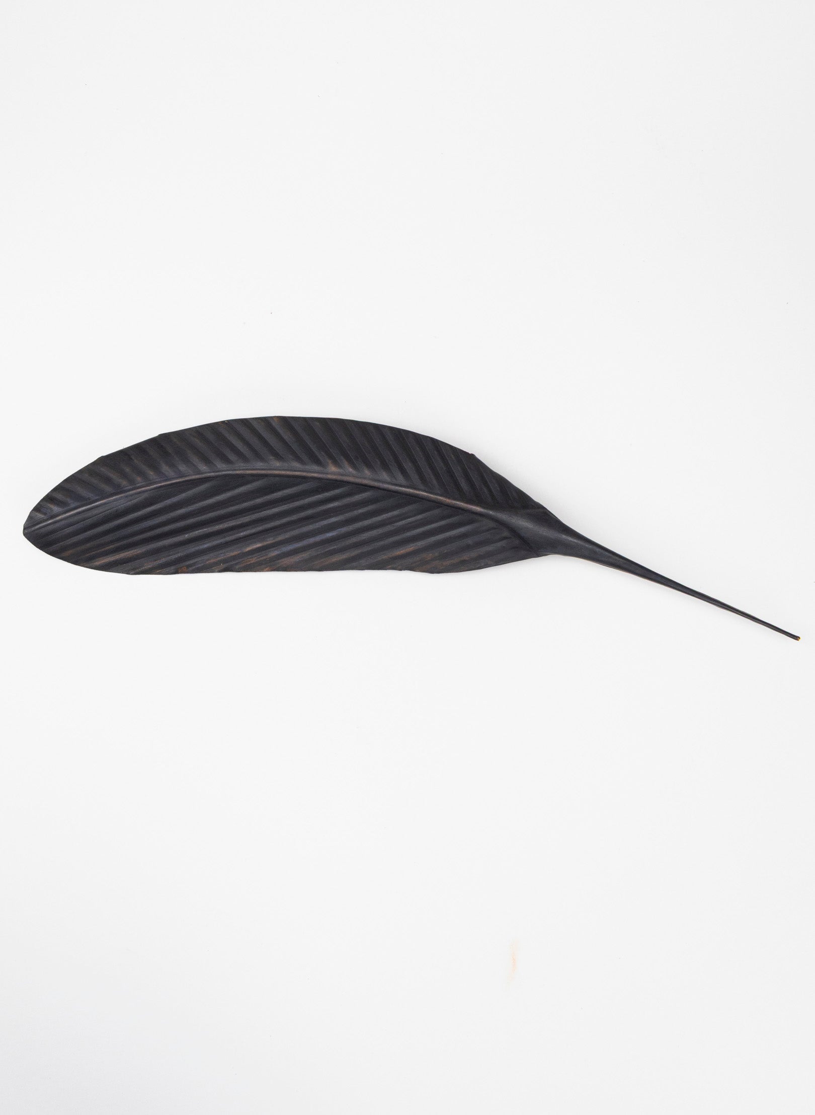 Tūī Copper Feather 487mm
