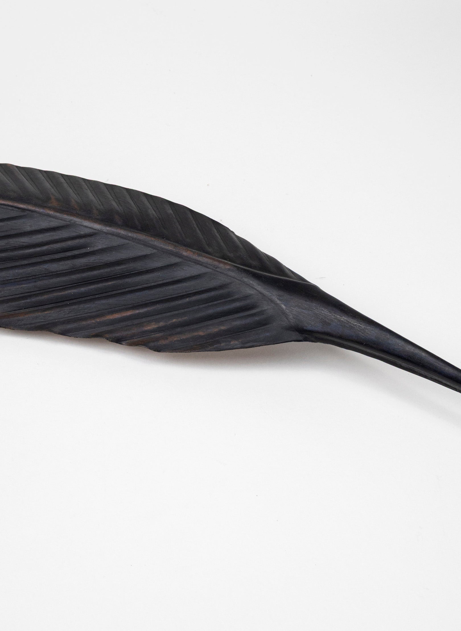 Tūī Copper Feather 487mm