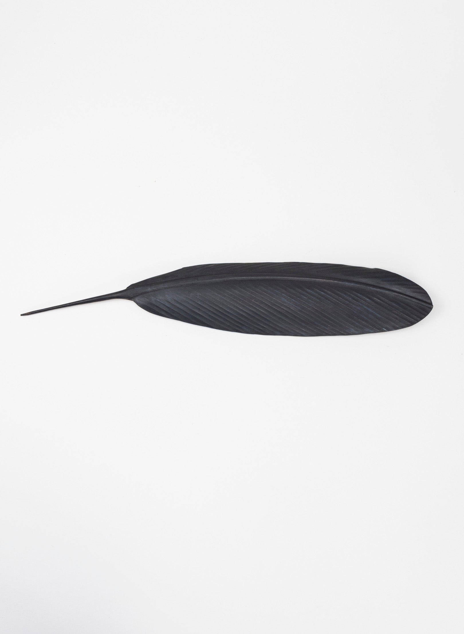 Tūī Copper Feather 445mm