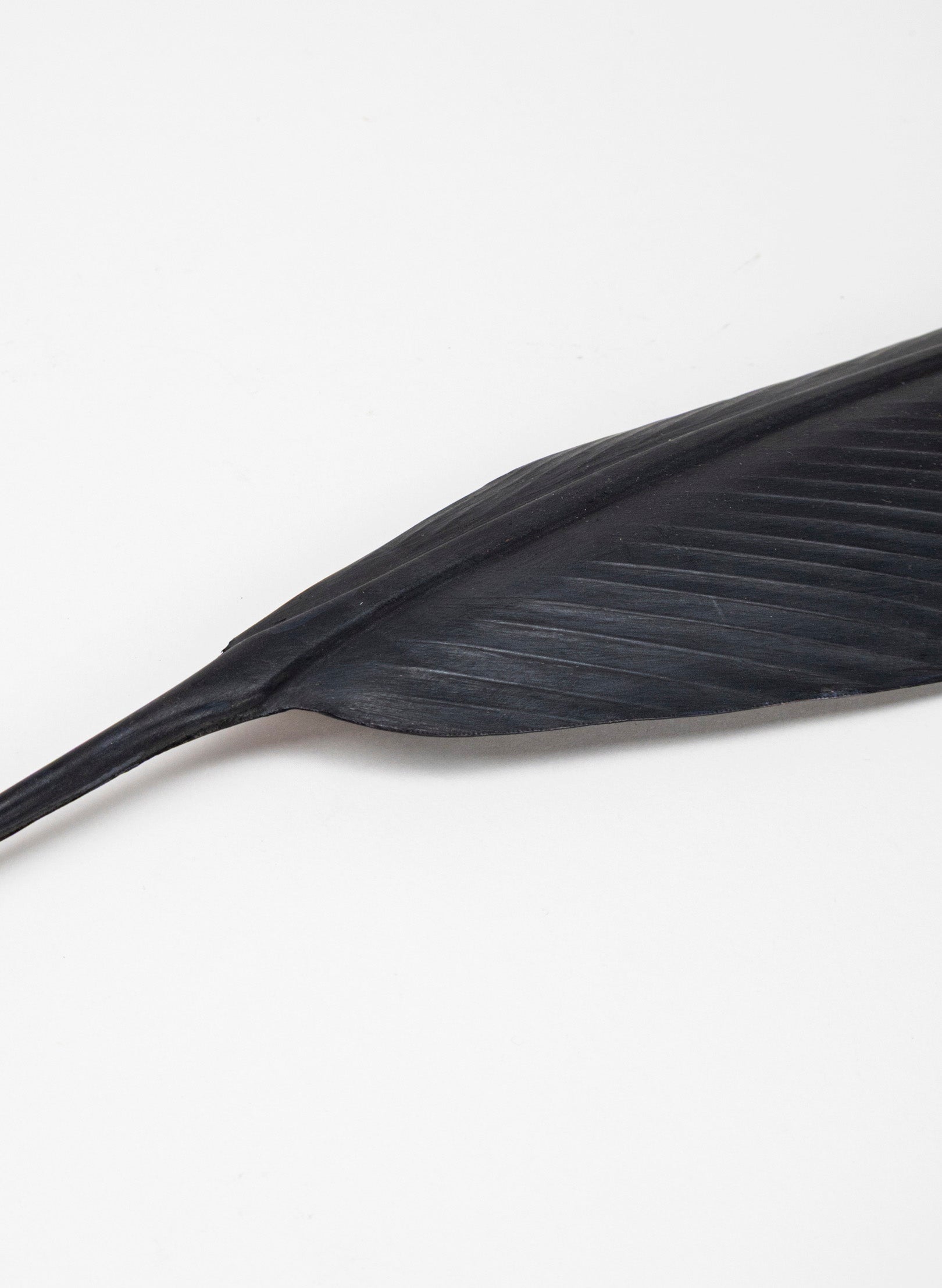 Tūī Copper Feather 445mm