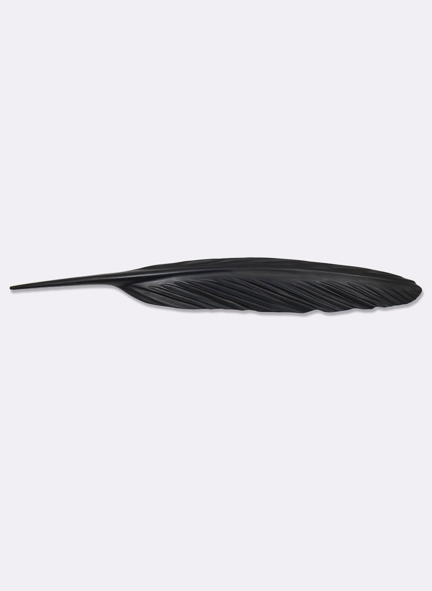 Tūī Feather Swamp Kauri 780mm