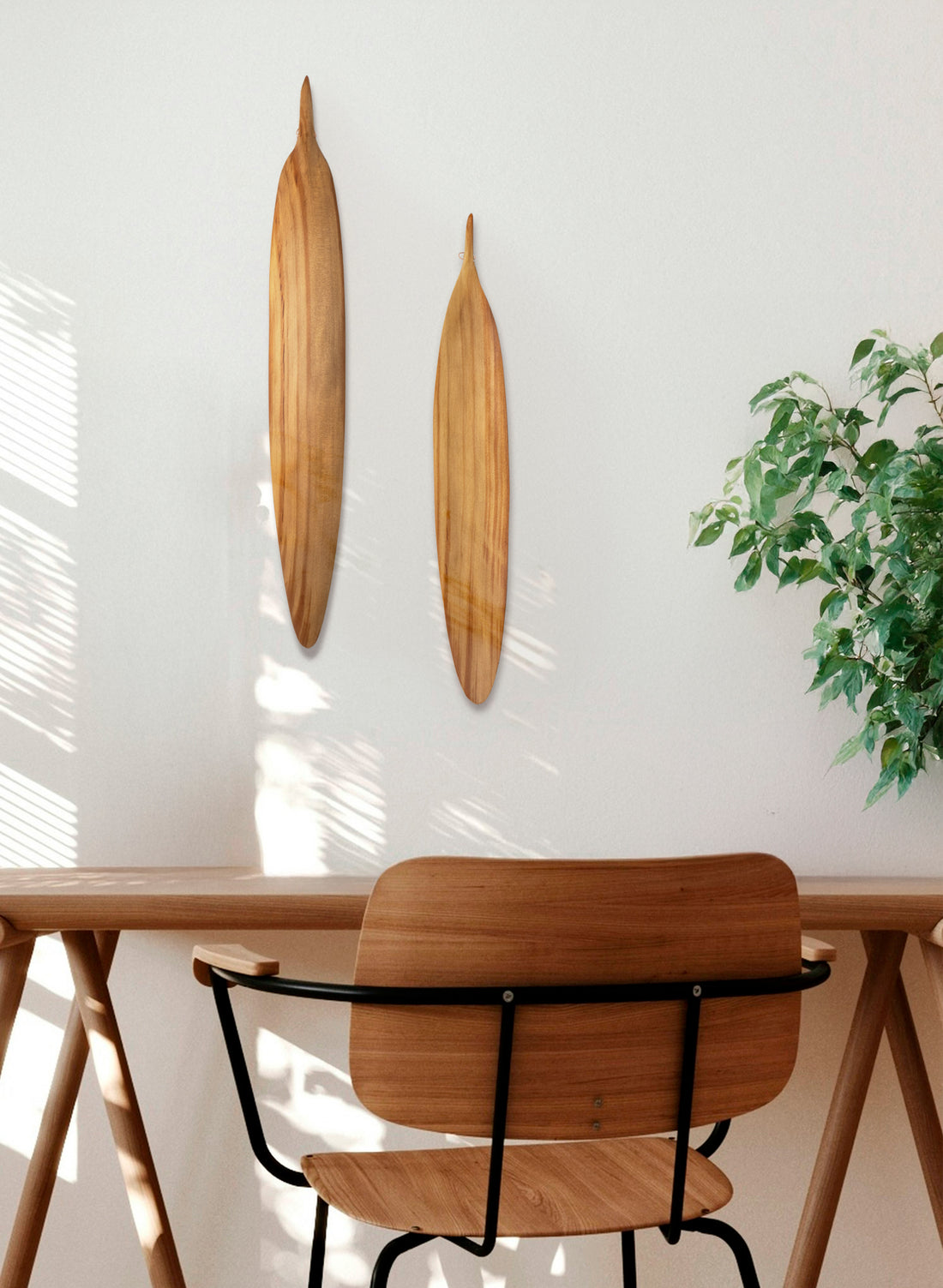 Swamp Kauri Leaf  670mm