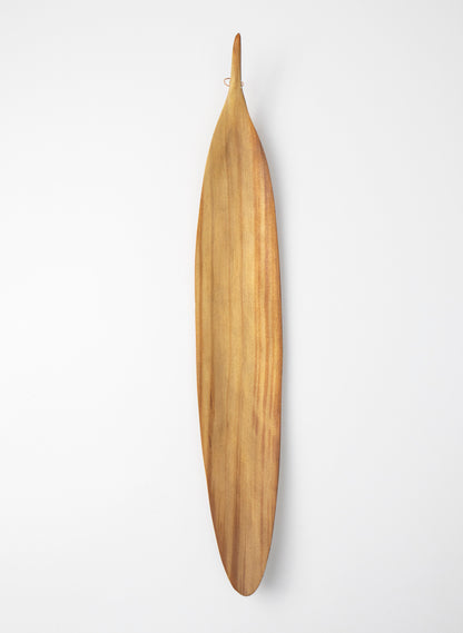 Swamp Kauri Leaf  525mm