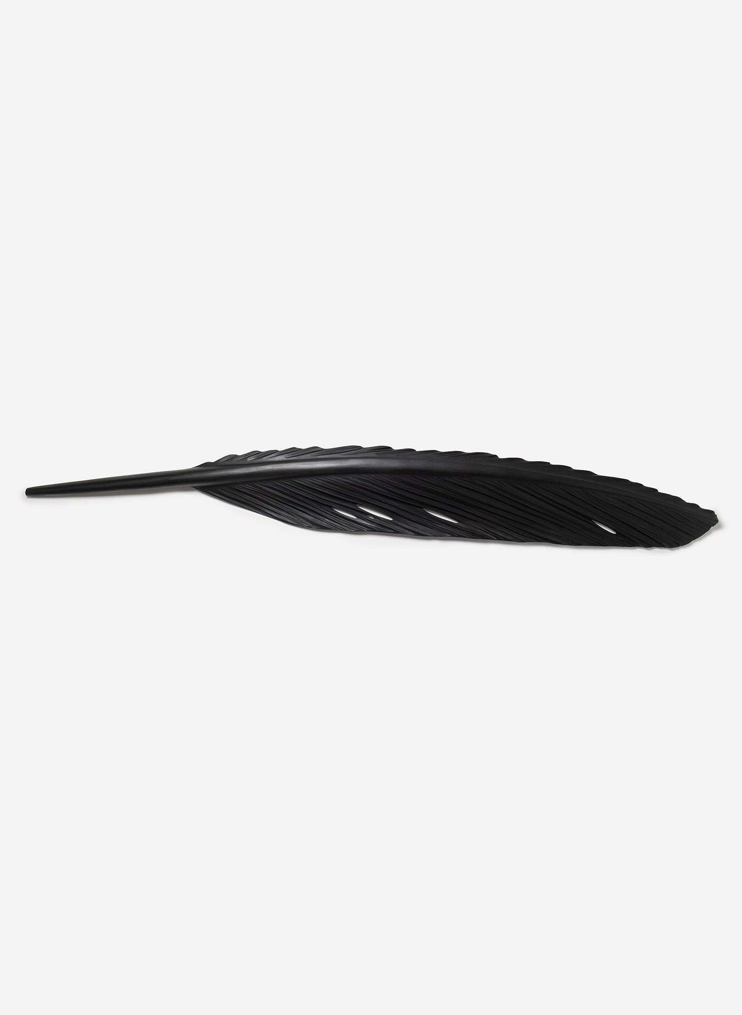 Tūī Swamp Kauri Feather 2500mm