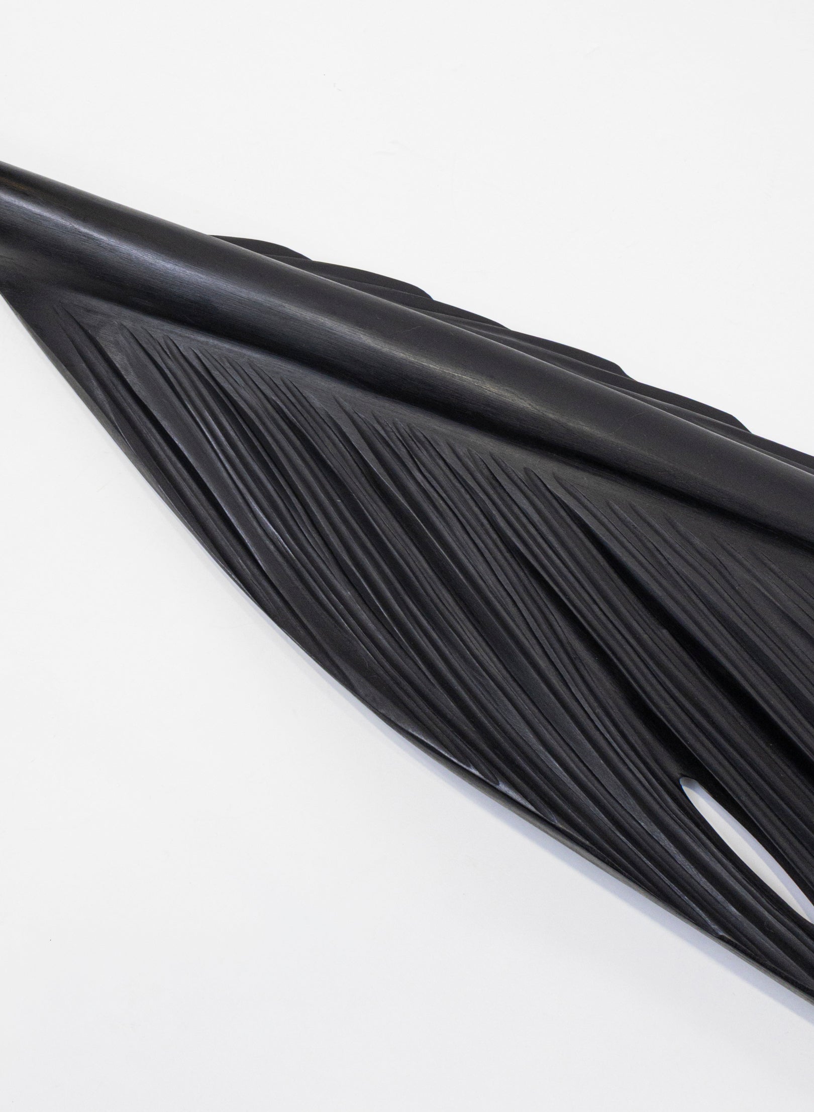 Tūī Swamp Kauri Feather 2500mm