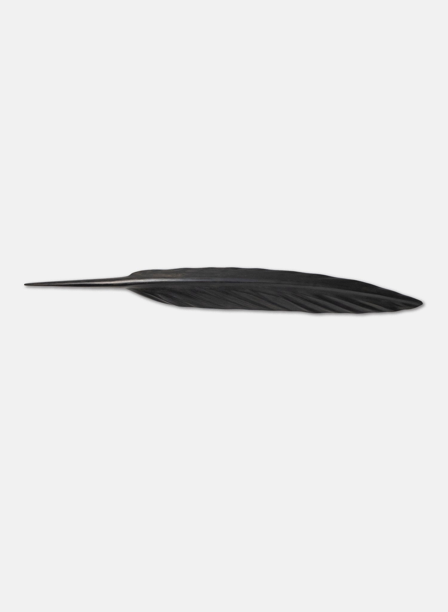 Tūī Swamp Kauri Feather 630mm