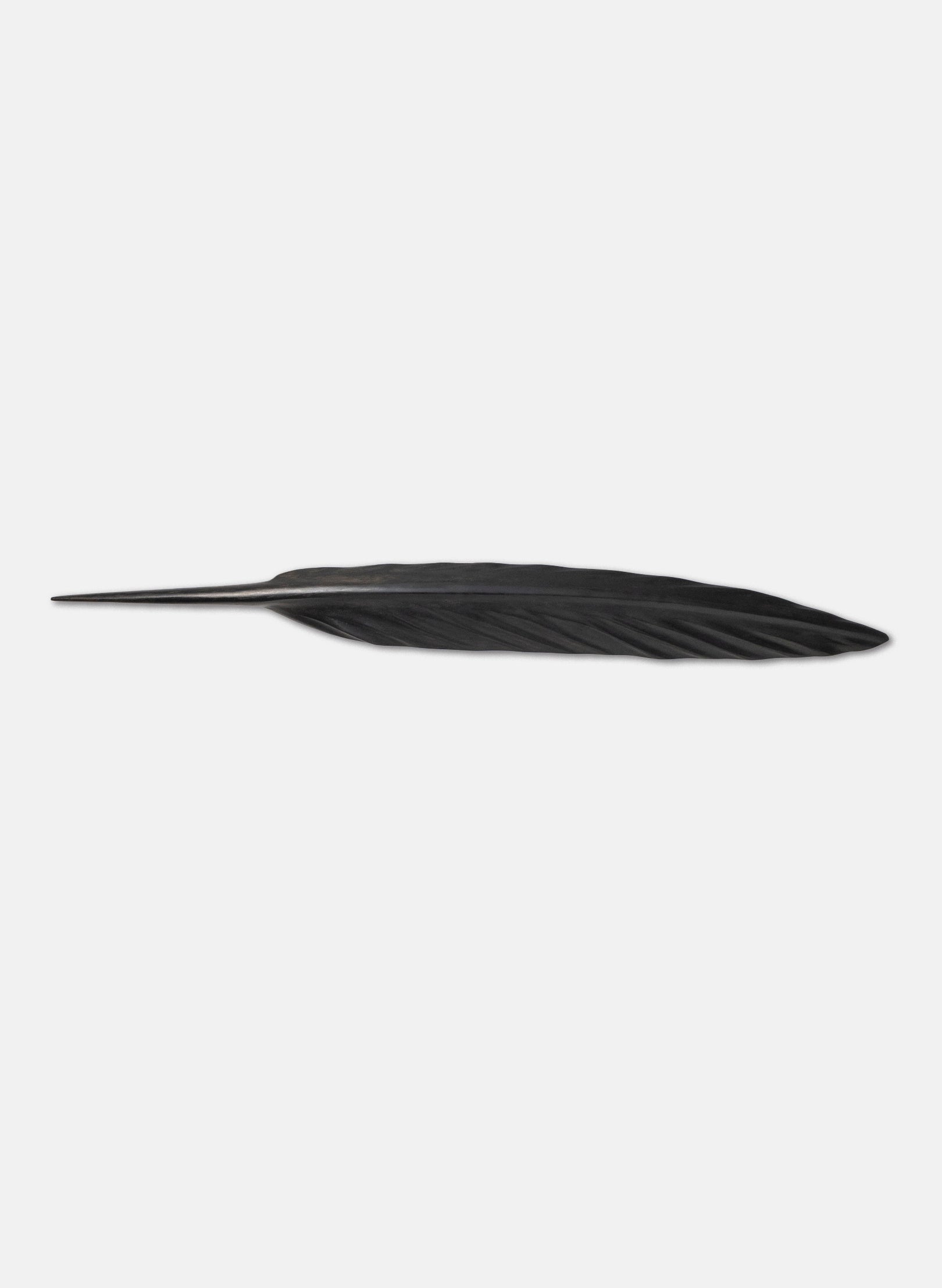 Tūī Swamp Kauri Feather 630mm
