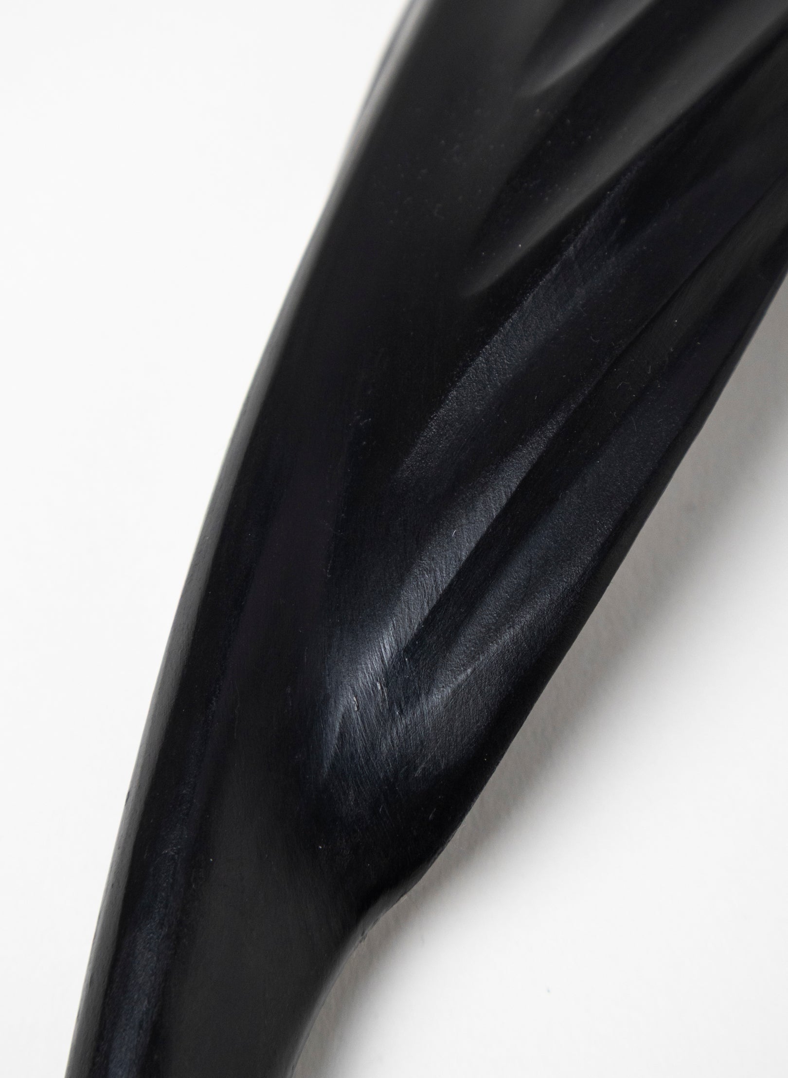 Tūī Swamp Kauri Feather 600mm